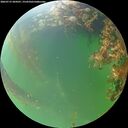./images/calvert/underwater/20260715/underwater20260715_204501M.jpg