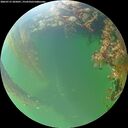 ./images/calvert/underwater/20260715/underwater20260715_205001M.jpg