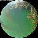 ./images/calvert/underwater/20260715/underwater20260715_210002M.jpg