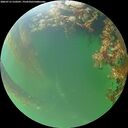 ./images/calvert/underwater/20260715/underwater20260715_210501M.jpg