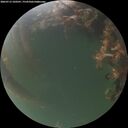 ./images/calvert/underwater/20260715/underwater20260715_220501M.jpg