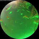 ./images/calvert/underwater/20260716/underwater20260716_061001M.jpg