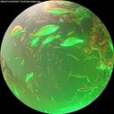 ./images/calvert/underwater/20260716/underwater20260716_063501M.jpg