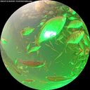 ./images/calvert/underwater/20260716/underwater20260716_064501M.jpg