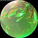 ./images/calvert/underwater/20260716/underwater20260716_065001M.jpg