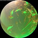 ./images/calvert/underwater/20260716/underwater20260716_065502M.jpg