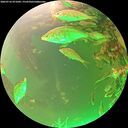 ./images/calvert/underwater/20260716/underwater20260716_071001M.jpg
