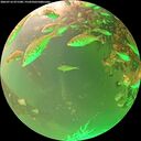 ./images/calvert/underwater/20260716/underwater20260716_071501M.jpg