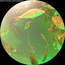 ./images/calvert/underwater/20260716/underwater20260716_072502M.jpg