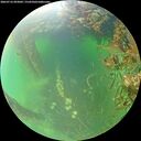 ./images/calvert/underwater/20260716/underwater20260716_093002M.jpg