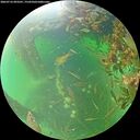 ./images/calvert/underwater/20260716/underwater20260716_093501M.jpg