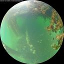 ./images/calvert/underwater/20260716/underwater20260716_100001M.jpg