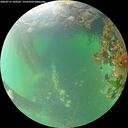 ./images/calvert/underwater/20260716/underwater20260716_100501M.jpg