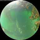 ./images/calvert/underwater/20260716/underwater20260716_101002M.jpg
