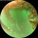 ./images/calvert/underwater/20260716/underwater20260716_114501M.jpg