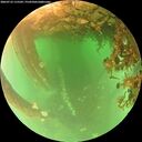 ./images/calvert/underwater/20260716/underwater20260716_115502M.jpg