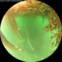 ./images/calvert/underwater/20260716/underwater20260716_120002M.jpg