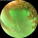 ./images/calvert/underwater/20260716/underwater20260716_120501M.jpg