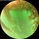 ./images/calvert/underwater/20260716/underwater20260716_121001M.jpg