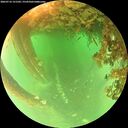 ./images/calvert/underwater/20260716/underwater20260716_121501M.jpg