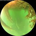 ./images/calvert/underwater/20260716/underwater20260716_122002M.jpg