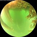 ./images/calvert/underwater/20260716/underwater20260716_123501M.jpg