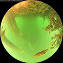 ./images/calvert/underwater/20260716/underwater20260716_124001M.jpg