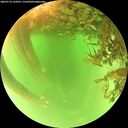 ./images/calvert/underwater/20260716/underwater20260716_124501M.jpg