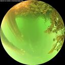 ./images/calvert/underwater/20260716/underwater20260716_125001M.jpg
