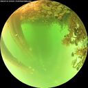 ./images/calvert/underwater/20260716/underwater20260716_125501M.jpg