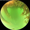 ./images/calvert/underwater/20260716/underwater20260716_130001M.jpg