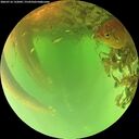 ./images/calvert/underwater/20260716/underwater20260716_132001M.jpg