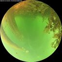./images/calvert/underwater/20260716/underwater20260716_132501M.jpg