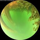 ./images/calvert/underwater/20260716/underwater20260716_134002M.jpg