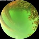 ./images/calvert/underwater/20260716/underwater20260716_135001M.jpg
