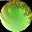 ./images/calvert/underwater/20260716/underwater20260716_140501M.jpg