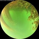 ./images/calvert/underwater/20260716/underwater20260716_141001M.jpg