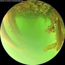 ./images/calvert/underwater/20260716/underwater20260716_143501M.jpg