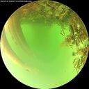 ./images/calvert/underwater/20260716/underwater20260716_144002M.jpg