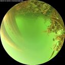 ./images/calvert/underwater/20260716/underwater20260716_145501M.jpg