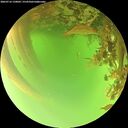 ./images/calvert/underwater/20260716/underwater20260716_150001M.jpg