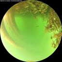 ./images/calvert/underwater/20260716/underwater20260716_150501M.jpg