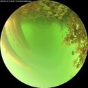 ./images/calvert/underwater/20260716/underwater20260716_151001M.jpg
