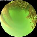./images/calvert/underwater/20260716/underwater20260716_151501M.jpg