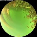 ./images/calvert/underwater/20260716/underwater20260716_152501M.jpg
