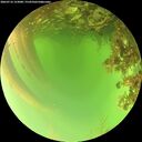 ./images/calvert/underwater/20260716/underwater20260716_153001M.jpg
