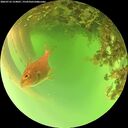 ./images/calvert/underwater/20260716/underwater20260716_154001M.jpg