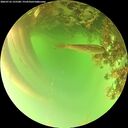./images/calvert/underwater/20260716/underwater20260716_155501M.jpg
