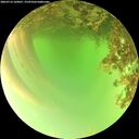 ./images/calvert/underwater/20260716/underwater20260716_160001M.jpg