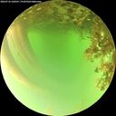 ./images/calvert/underwater/20260716/underwater20260716_160501M.jpg